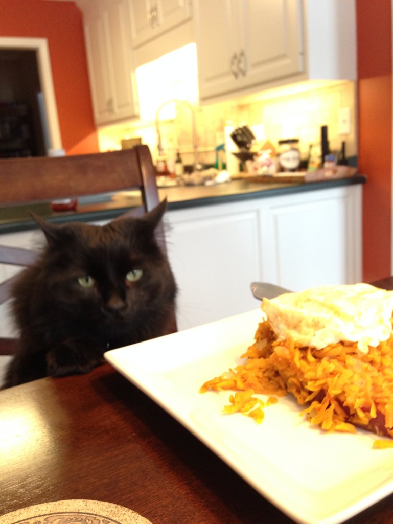 Sneak was disappointed to learn this was not his breakfast.